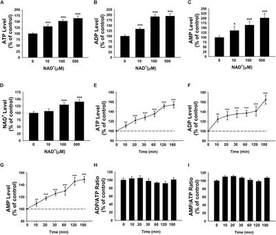 Extracellular Degradation Into Adenosine and the Activities of Adenosine Kinase and AMPK Mediate Extracellular NAD+-Produced Increases in the Adenylate Pool of BV2 Microglia Under Basal Conditions